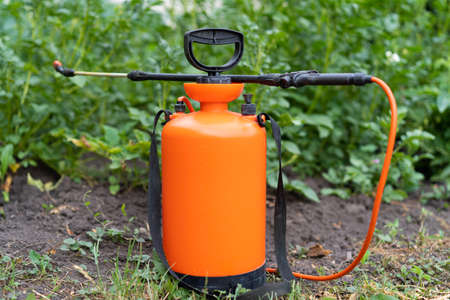 treatment of potato plants from pests, wireworm and Colorado potato beetle, crop protection with a sprayer, sprayer close-upの写真素材