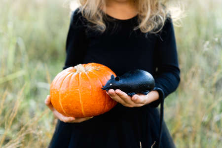 a little blonde girl in a black costume and a witch hat, Halloween with a pumpkin and a rat in her hands, a cheerful childの写真素材