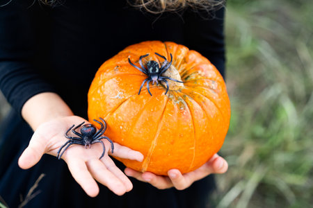 orange autumn pumpkin in childrens hands with spiders, decor for the Halloween holidayの写真素材
