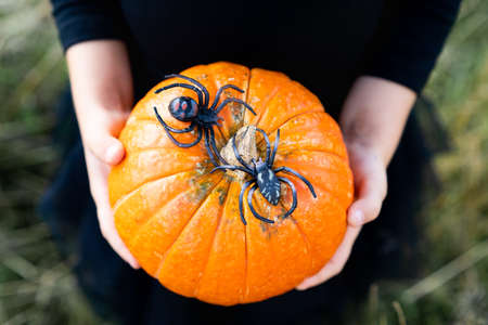 little blonde girl in a black costume, halloween with a pumpkin in her hands, close-upの写真素材