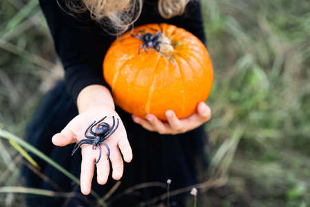 orange autumn pumpkin in childrens hands with spiders, decor for the Halloween holidayの写真素材