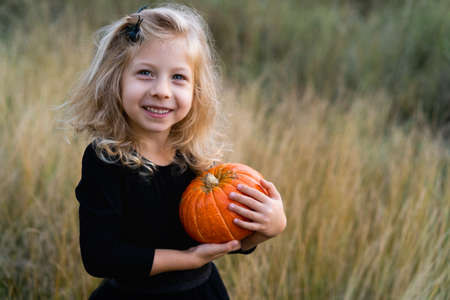 orange autumn pumpkin in childrens hands with spiders in their hair, decor for the Halloween holidayの写真素材