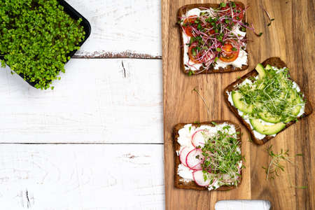 Varied breakfast, appetizer wholegrain bread sandwiches, toasters with cream cheese, radish, avocado, tomatoes, shrimp, egg, micro greens on a light background, top viewの写真素材