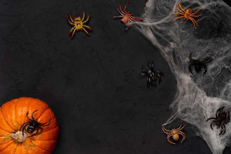 spider web with spiders on a black background, Halloween, top view