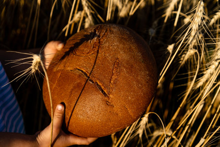 rye round bread in womens hands against the background of a rye field with coals, hard shadows and...