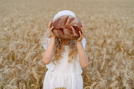 Little beautiful blonde girl with rye bread in a field of ears of rye.の写真素材