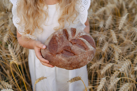 Little beautiful blonde girl with rye bread in a field of ears of ryeの写真素材