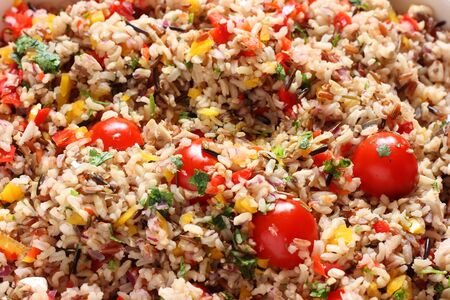 Wild rice and tomato saladの写真素材