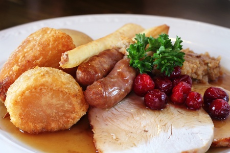 Traditional turkey dinnerの写真素材