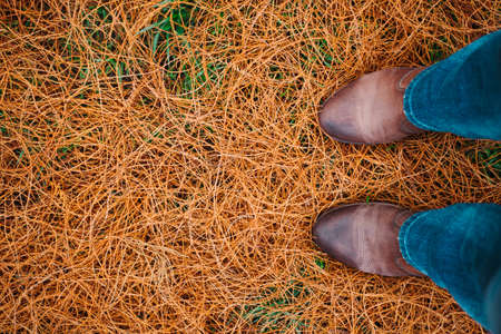 orange thin foliage on the ground with brown leather shoes and jeansの写真素材