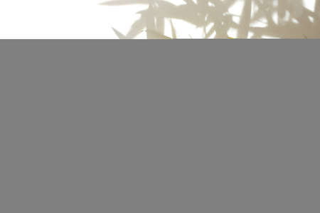 Natural bamboo shadow on white cloth background. Leaf silhouetteの写真素材