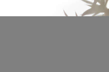 Natural bamboo shadow on white cloth background. Leaf silhouetteの写真素材