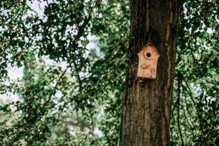 Bird house on a tree in summerの写真素材