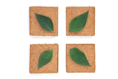 light brown fertilizer squares with pineapple sage leaves on white background isolated. Urban...