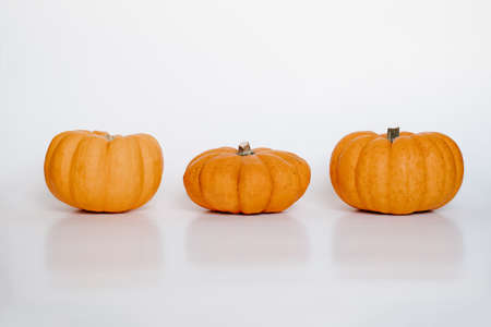 three small orange pumpkins on white isolated background side view. Halloween and Thanksgiving autumn conceptの写真素材
