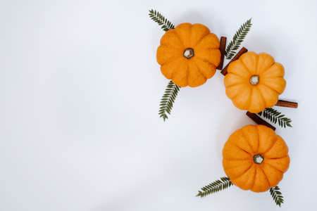 three orange pumpkins with cinnamon sticks and Jacaranda mimosifolia leaves on white background banner mockupの写真素材