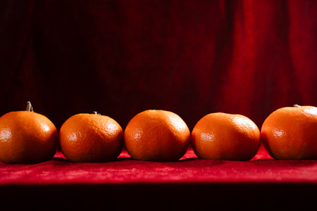 ripe oranges or clementines in a row on rich red velvet background. low key dark moody lighting background. Classic holiday colors, luxury festive atmosphereの写真素材