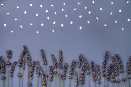 silver stars confetti and dry lavender flower on violet background. Lavender field on a starry night...