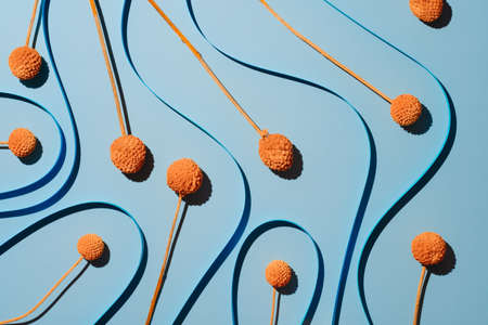 Blue background with soft line stripes with orange dry Craspedia Billy Balls. Minimalistic gradient...