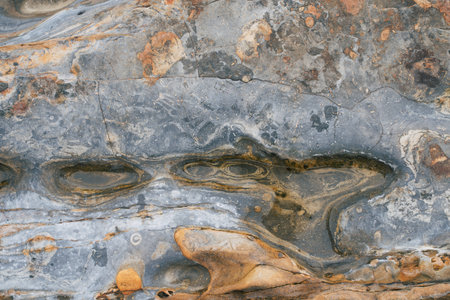 Point Lobos blue gray soft rock stone texture with cracks. Natural shapes and nature geometryの写真素材
