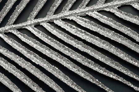 Silver glitter palm leaf on black background. Luxury vacation banner.の写真素材