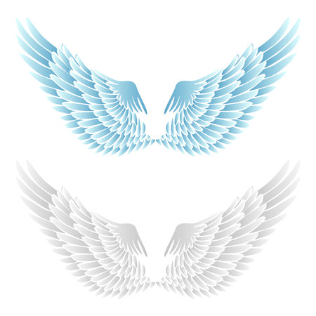 Vector realistic wings isolated on white background. Vector illustrationのイラスト素材