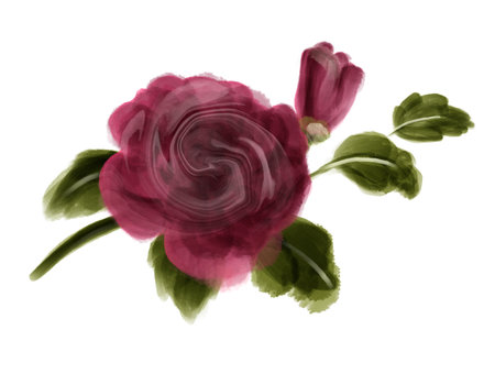 Watercolor Rose Flowers Illustratio. Floral illustration, Leaf and buds.の写真素材
