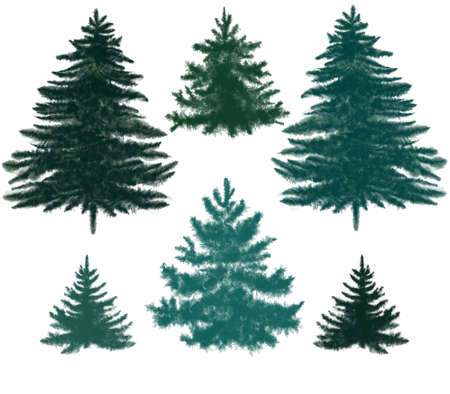 Watercolor Christmas green trees. Hand-drawn Spruce and holiday tree.の写真素材