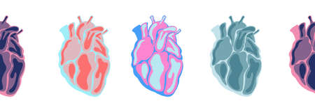 Continuous line heart shape border with realistic human anotomic heart.の写真素材