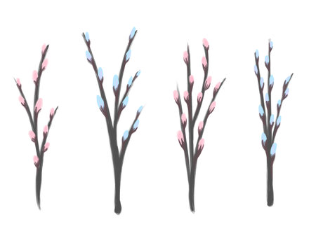 Set of cute willow twigs sketch isolated on a white background. Easter willow.の写真素材