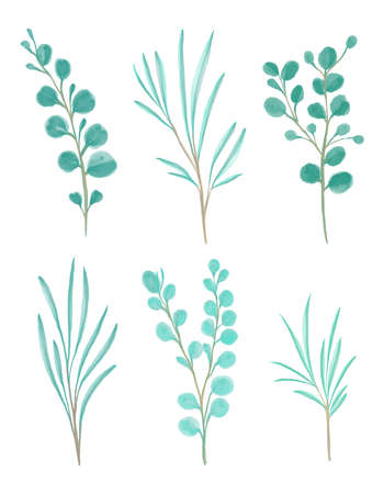 Watercolor floral illustration set - green leaf branches collection. For wedding, greetings, wallpapers, fashion, background. Eucalyptus, olive, green leaves.の写真素材