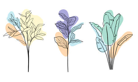 Set botanical floristic sketch contour branches with leaves. Continuous one line  with color spots. Line art. Tropic leaf.の写真素材