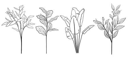 Set of tropical leaves outline  silhouettes. Botanical Modern Single Line Art, Aesthetic Contour. Continuous Line.の写真素材