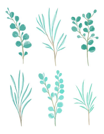 vector set eucalyptus leaves and branches. Frolar branches and leaves isolated on white background. For invitation, wedding or greeting cards.のイラスト素材