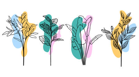 Single line drawing art, tropical leaves, botanical plant set isolated. Vector.のイラスト素材