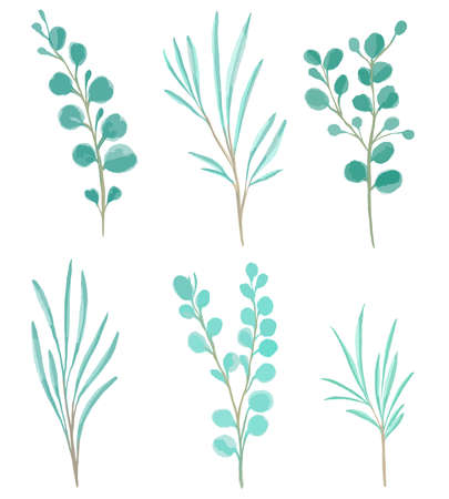 Eucalyptus leaves set isolated on transparent background. Floral  or icon vector illustration for home decor, posters, wall art, cards, packaging.のイラスト素材