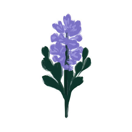 Abstract Watercolor hand drawn Lavender flower.のイラスト素材