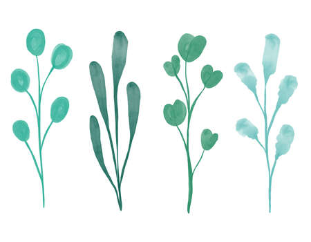 Set of watercolor spring branches and herbs. Hand painted eucalyptus leaves and grass isolated on a white background. Botanical set.Floral illustration for design, print, fabric, or background.の写真素材