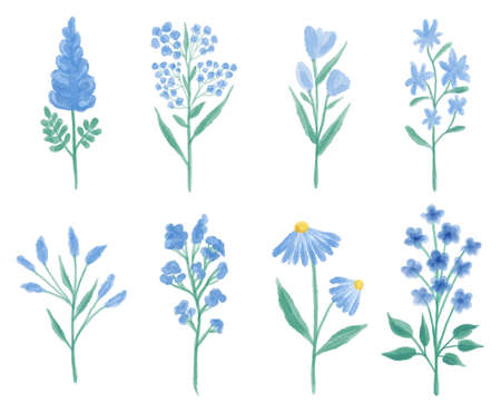 Watercolor set of various blue meadow Flowers. Botanical hand drawing illustration isolated on white background. Floral composition for wedding or greeting card.の写真素材