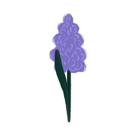 Abstract purple hand drawn sword lily flower isolated on white background. Vector illustration.のイラスト素材