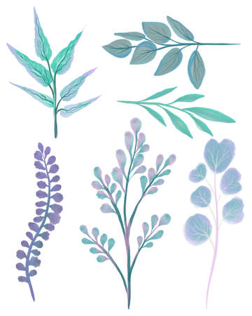 Set of Watercolor Green leaves, herbs and branches. Botanical clipart. Floral Design elements.の写真素材