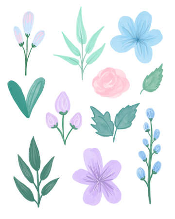 Set watercolor elements of Spring flowers and leaves. Collection garden flowers, leaves, branches, buds. Botanic hand drawn aquarelle illustration.の写真素材
