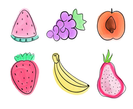 Vector light fruit line watercolor on white background. Fruity watercolor collection with stroke line in trendy style.のイラスト素材