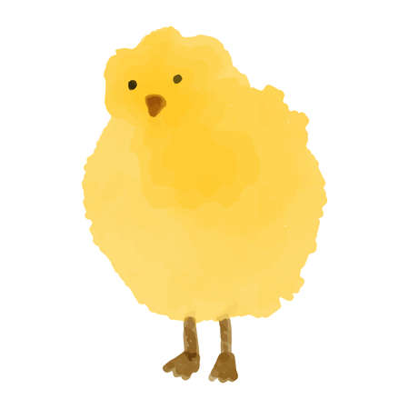 Vector illustrations of watercolor Little yellow chicken. Hand-drawn, artistic, color image of chicken in watercolor style on a white background. Easter card design. Vector illustrationのイラスト素材