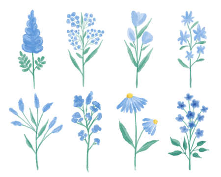 Vector collection of blue wildflowers hand painted in watercolor.のイラスト素材