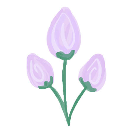 Vector Paint element of hand-drawn watercolor pink flowers, rose, buds on a white background. Use for menus, invitations, wedding.のイラスト素材