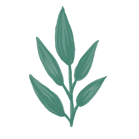 Vector Paint element of hand-drawn watercolor green leaves on a white background. Use for menus, invitations, wedding.のイラスト素材