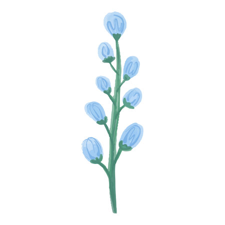 Vector Paint element of hand-drawn watercolor blue flowers, buds on a white background. Use for menus, invitations, wedding.のイラスト素材
