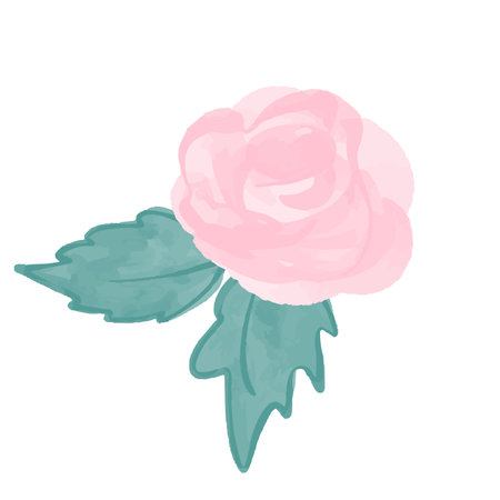 Vector Paint element of hand-drawn watercolor pink flowers, rose, leaves on a white background. Use for menus, invitations, weddingのイラスト素材