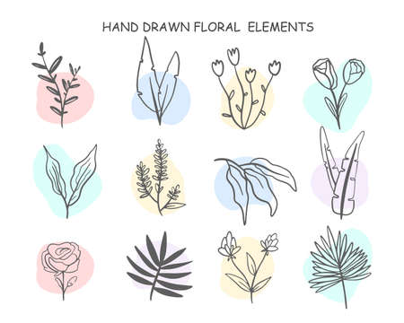 Single line flowers set. Trendy spring collection of wildflowers. Vector illustration of Floral branches and rainbow stains.のイラスト素材